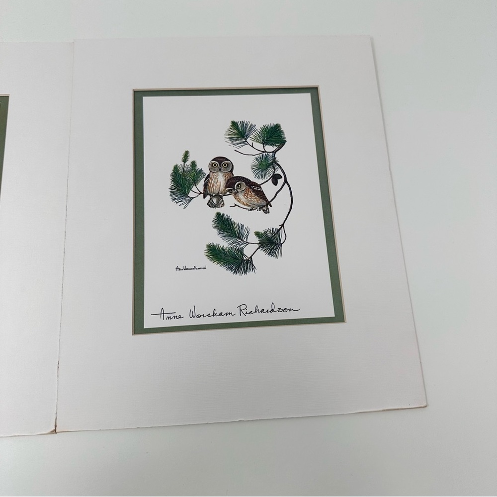 Anne Worsham Richardson Screech Owl and Saw Whet Owl
Signed Prints - Picture 6 of 16